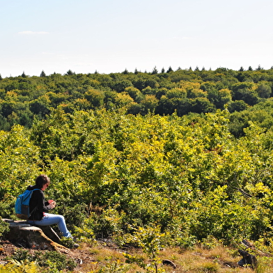 Le chemin des Vallées