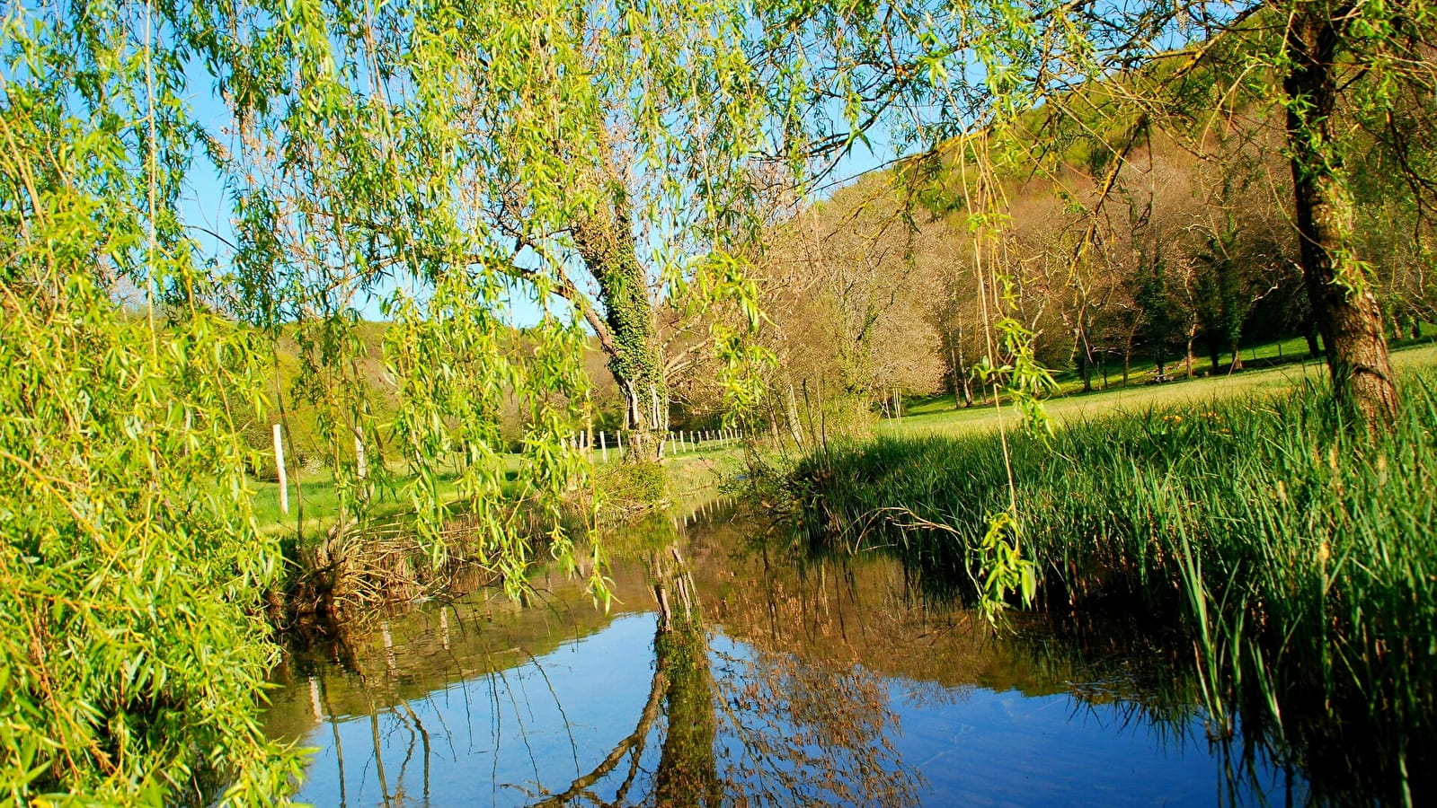 Les Sources de l'Ouche