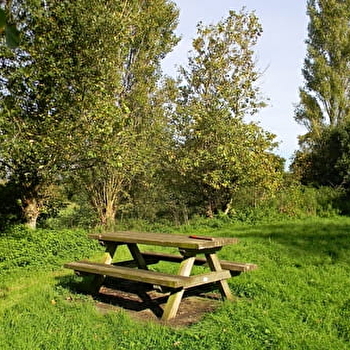 Aire de pique-nique du Grand Bois - AMANCEY