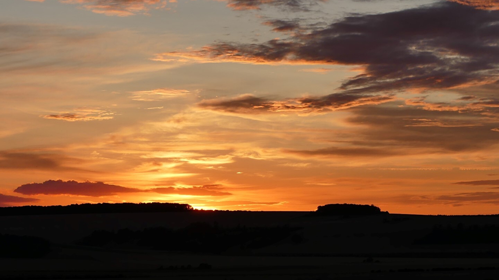 Balade nocturne _ENS2026  'sur réservation'