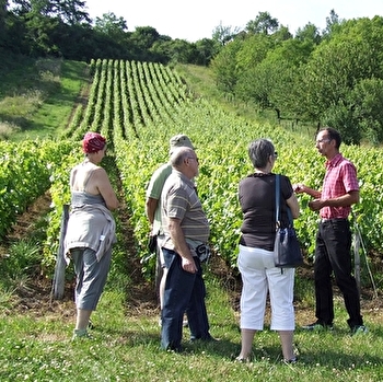 Visite-découverte 'De la vigne au vin' - CHAUMONT-LE-BOIS