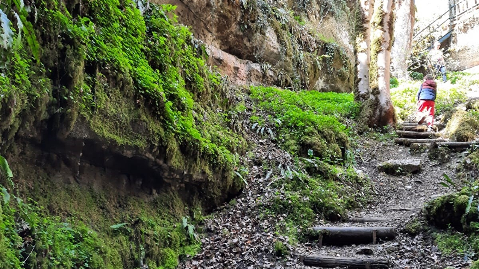 Sentier karstique du grand bois et grotte Maëva