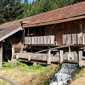 La scierie Martin - SERVANCE-MIELLIN