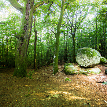 La pierre qui croule  - UCHON