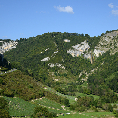 Circuit des grottes et des vignes à Cerdon
