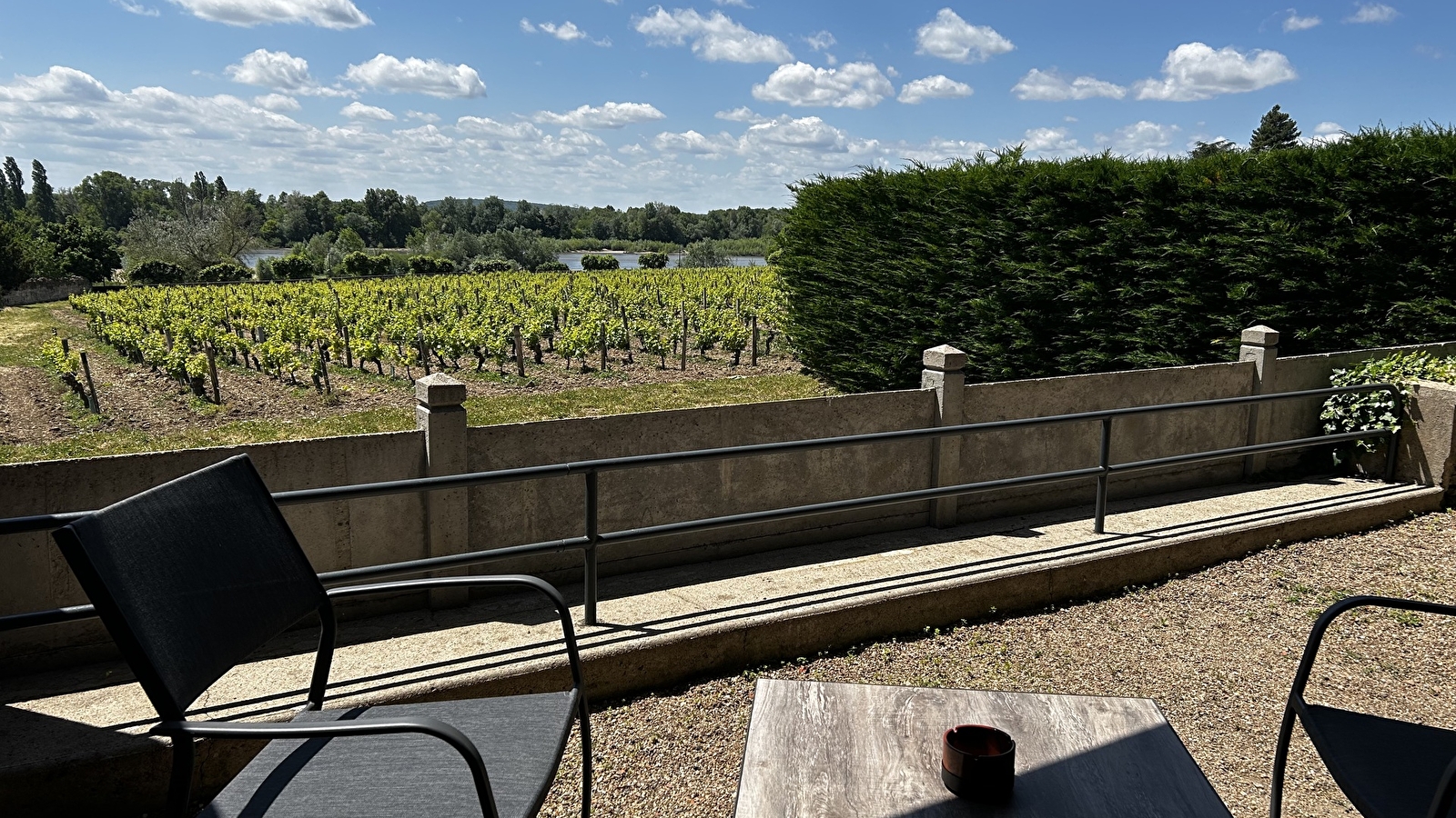 L'Espérance, vue sur la vigne et la Loire
