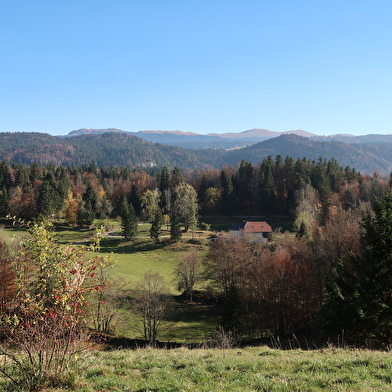 Sentier des Diots du Jura