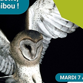 Club nature adulte 'Chouette, un hibou !' - POUILLY-SUR-LOIRE