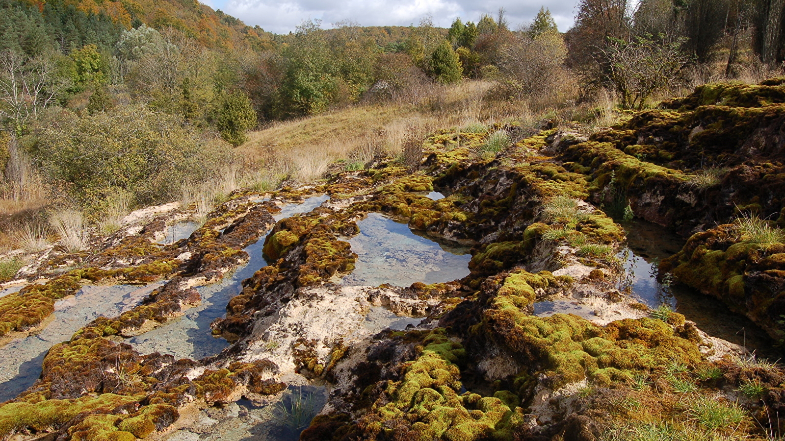Secrets du Châtillonnais au marais du Cônois