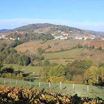 Le Beaujolais - Les coteaux du Beaujolais - Boucle 5.2 - REGNIE-DURETTE