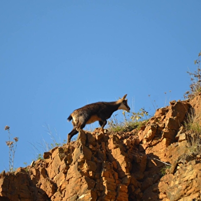GR® de Pays Tour du Revermont