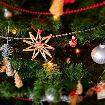 Excursion marché de Noël de Bern - LONS-LE-SAUNIER