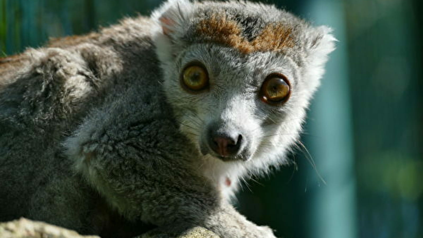 Le Printemps de la Biodiversité