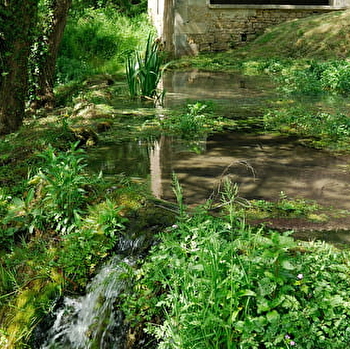 Chemin des écrivains : Romain Rolland - BREVES