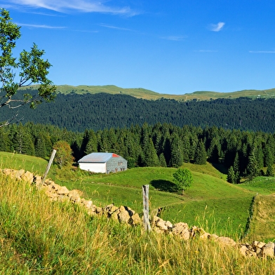 Boucle 7 : Lajoux-les Molunes