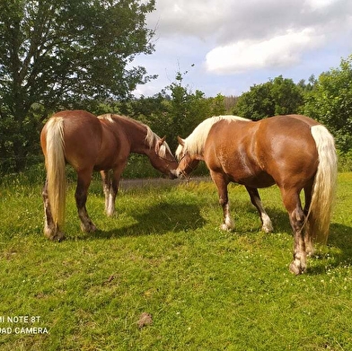 Gîte d'étape - La Jonchée