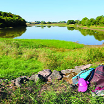 Les Bruyères - LES BIZOTS