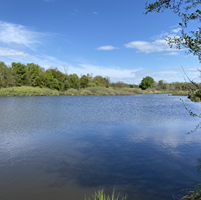 Le Sentier des étangs Vaillant, du Crêt et du Fort