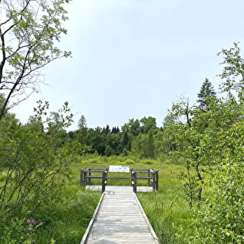 Tourbière de l'Entre Côtes du Milieu - FONCINE-LE-HAUT