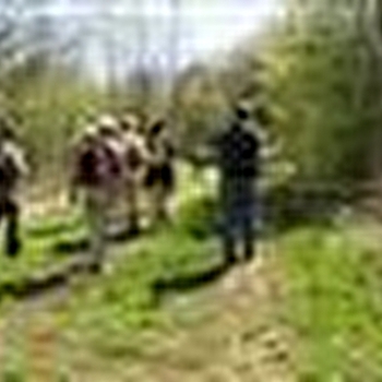 Circuit pédestre de Bellevue - GY