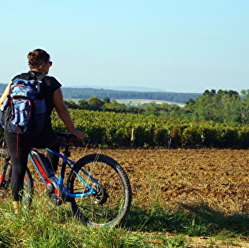 Boucle cyclable n°19 - des Vieilles Vignes - MARNAY