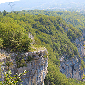 Les crêtes de Charabotte - Parcours marche nordique n°13 - PLATEAU D'HAUTEVILLE