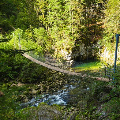 Ligne des Hirondelles de Saint-Laurent à Morez - Offre groupe