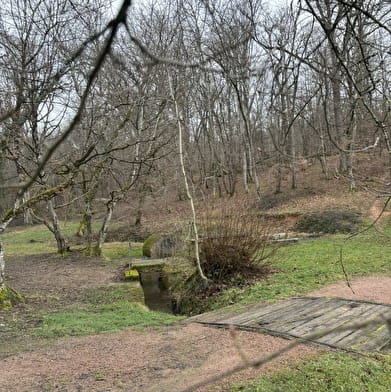 Balade Verte - Le Chêne à La Dame (CH 1)