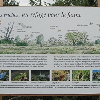 Sentier des Roches d'Orgères - FLEUREY-SUR-OUCHE