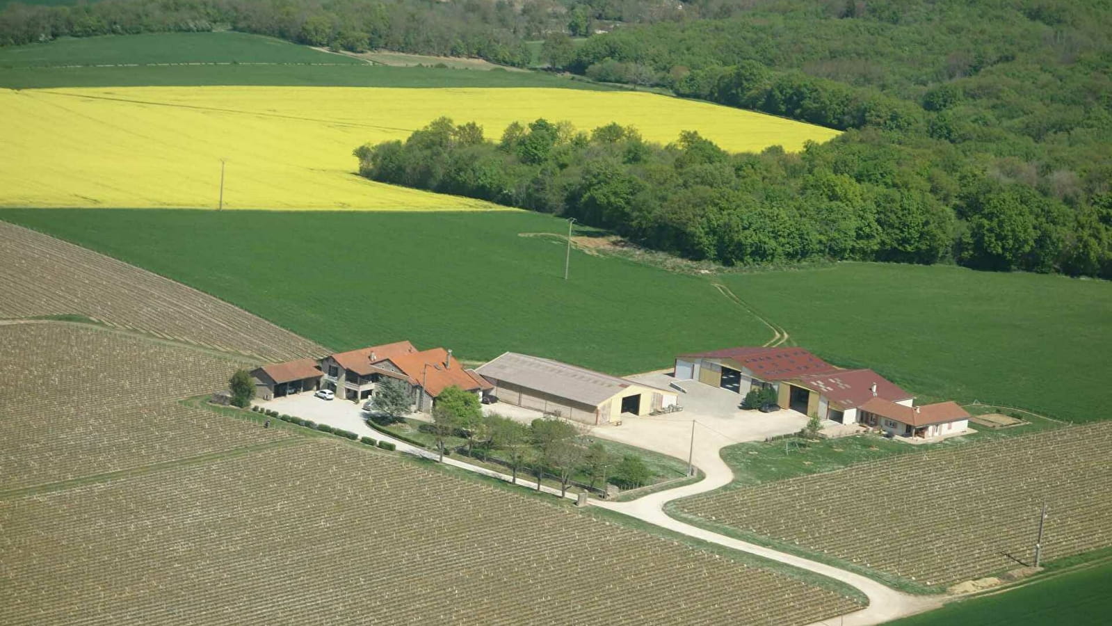 Domaine de Naisse -Brenot Beranger