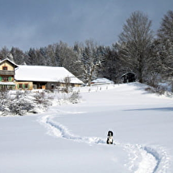 Restaurant la Petite Échelle - ROCHEJEAN