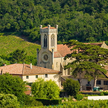 Entre Pouilly et Fuissé - FUISSE