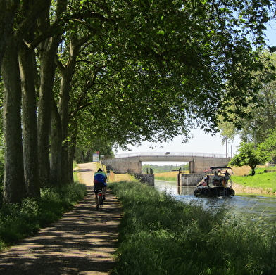 Pédalez le long de la Saône (VAE et VTC) - Onlycamp