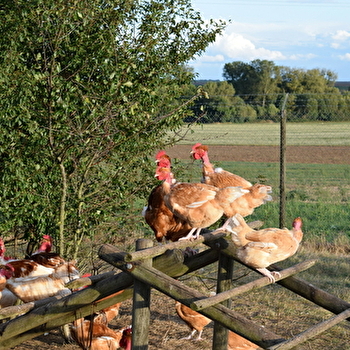 La Maiterie - MONTHOLON