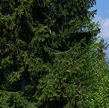 La Pierre qui tourne - LES GRANGETTES