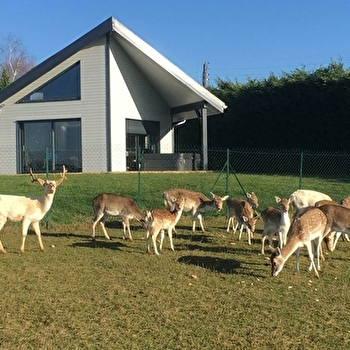 Coeur de Jura - BRAINANS