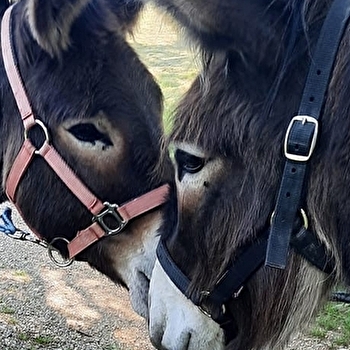 La flânerie d'Audrey - FORT-DU-PLASNE