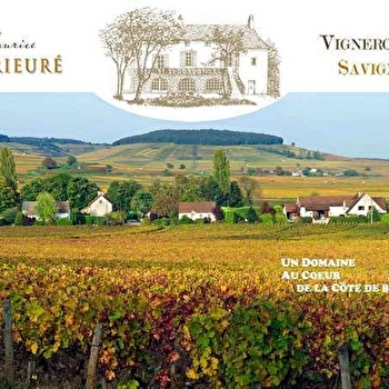 Prieuré - Maurice Stephen - SAVIGNY-LES-BEAUNE