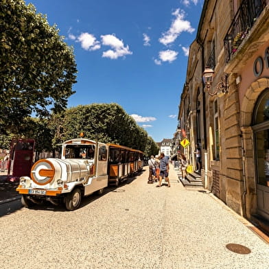 Journée 'A la découverte d'Augustodunum'
