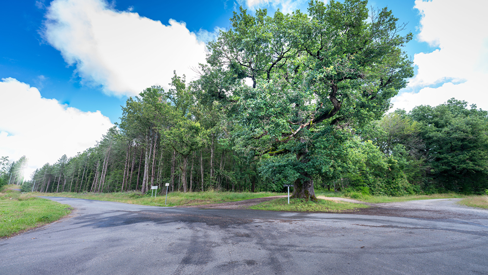 Le Chêne du Tiers