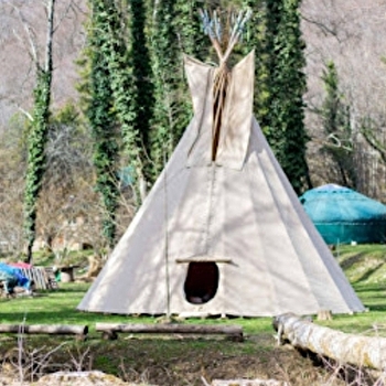 Wild Suzon  - VAL-SUZON