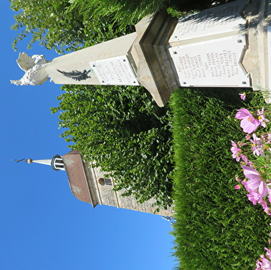 Entre Saône et forêt 