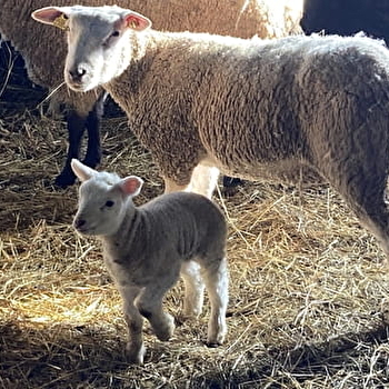 Domaine de Montprisy - LA NOCLE-MAULAIX