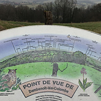 Le Haut des Vignes, point de vue - DAMBENOIT-LES-COLOMBE