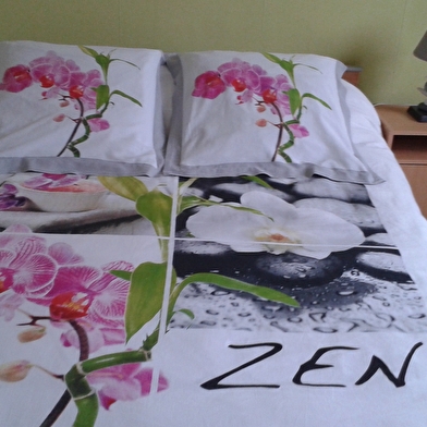 Meublé 'Le petit monde de Nicole'