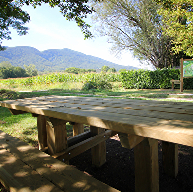 Parcours trail de Contrevoz : circuit bleu 7 km