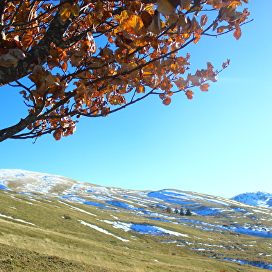 Parcours VTTAE 86 - rouge - La Panoramique - Espace VTT FFC Ain Forestière