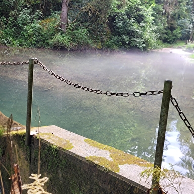 Dans la forêt, coule la Sarsouille - Parcours marche nordique n°1