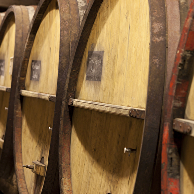 Visite de cave et dégustation au Château Béthanie