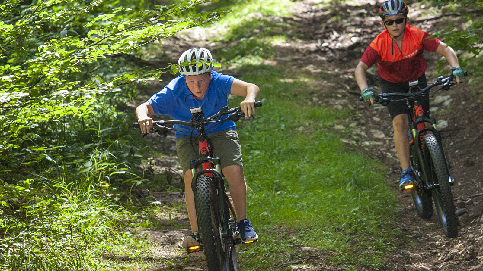 Parcours VTTAE 29 rouge - Tour de Cruchon - Espace FFC Ain Forestière